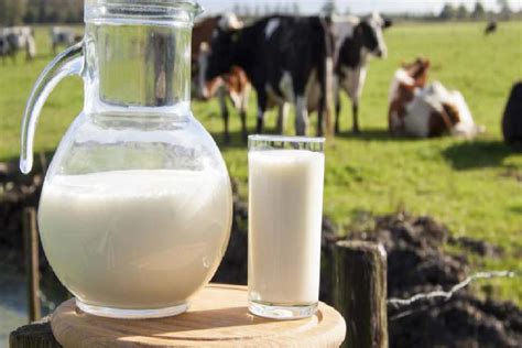 çiğ süt nasıl kaynatılmalı